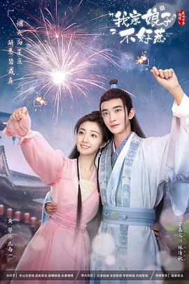 织梦网站怎么优化代码